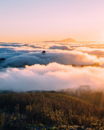 Unsplash ID tobTMLLZ86s