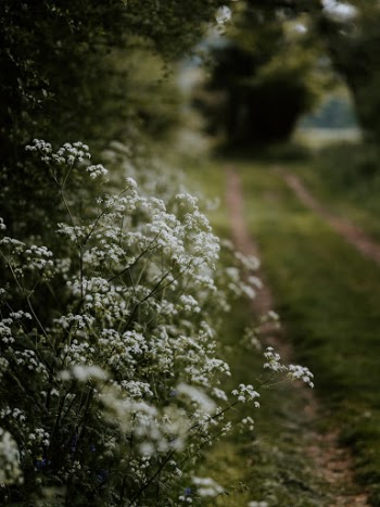 Unsplash ID tPdCEy9KpZk