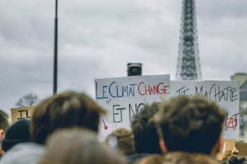 Unsplash ID Tr0R0ppDt9c