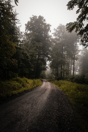 Unsplash ID tS9hztg3dJ8