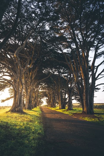 Unsplash ID TSJ1l_-Xepg
