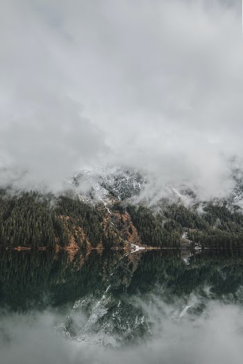 Unsplash ID tsOMr6mfc-E