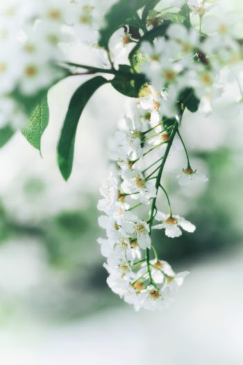 Unsplash ID _ttUcGgTWCY