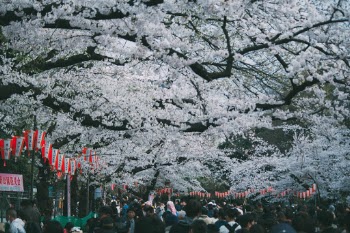 Unsplash ID tUjG--iZvdY