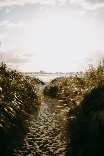 Unsplash ID TUKTj6lPHUs