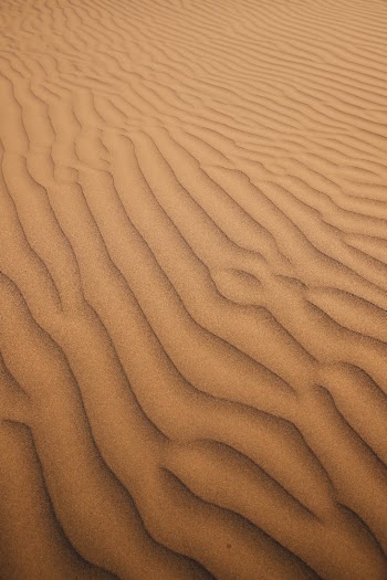 Unsplash ID tUziYd73zjo