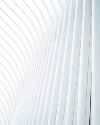 Unsplash ID tX6VQ4URDWU