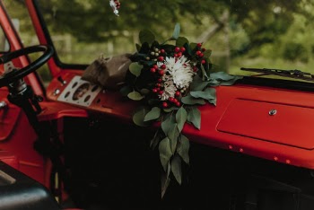 Unsplash ID tXpEEuQYikg