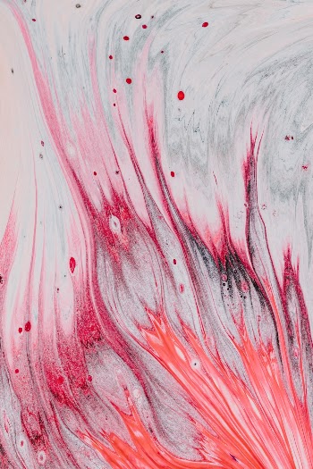 Unsplash ID Tyg0rVhOTrE