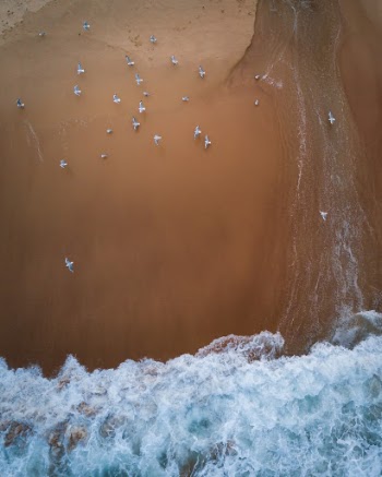 Unsplash ID TzjZ_hOauGw