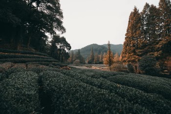Unsplash ID _u067VFAfBU