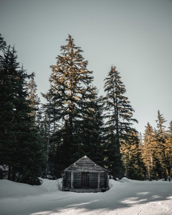 Unsplash ID U0Khpm4p8jU
