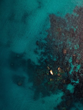 Unsplash ID u1qgcW38FZk