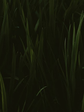 Unsplash ID U4qHs-mtxBI