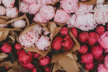 Unsplash ID U553jpgOdjE