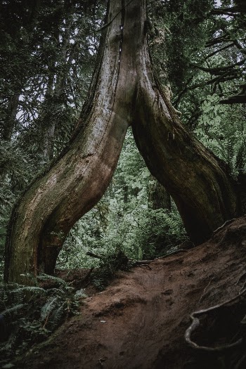 Unsplash ID U7hAesACw7s