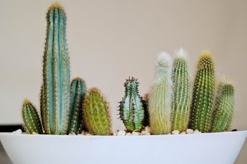 Unsplash ID u7HIbDV9uJU