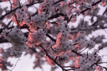 Unsplash ID u814TMuH2bI