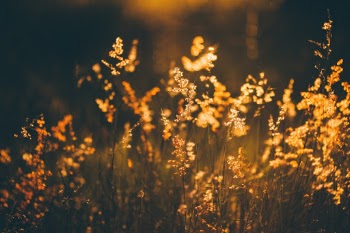 Unsplash ID ua2Hgb5hrvs