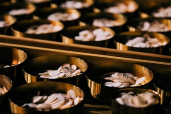 Unsplash ID Ua4yus9xznA