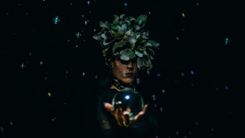 Unsplash ID uAvzsX9T6c0