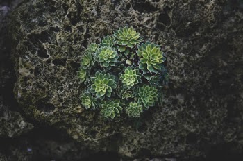 Unsplash ID UbMx420GRzI