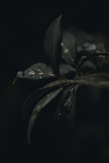 Unsplash ID UbSEm2Z9uT4