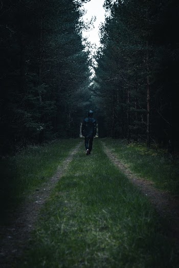 Unsplash ID UBXoGdfGCnE