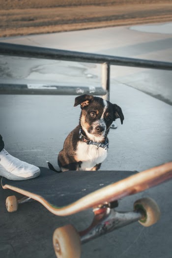 Unsplash ID ubY-igG0jVo