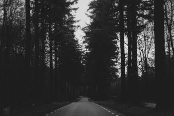 Unsplash ID uCPQi2dxKAQ