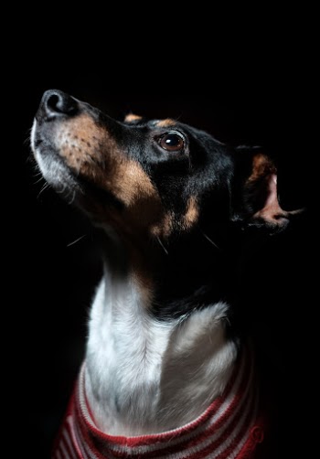 Unsplash ID _uEk28YLePY