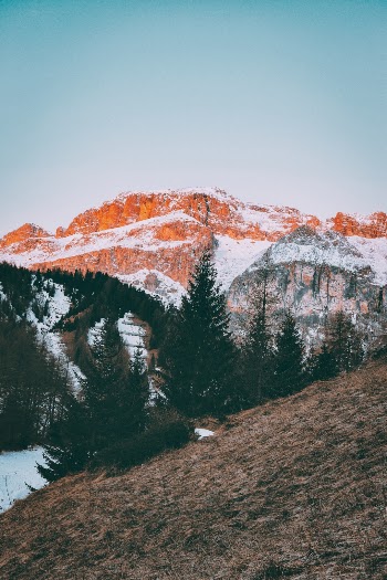 Unsplash ID ufwKv23boTM