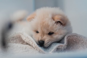 Unsplash ID uG5DYq4Ur04