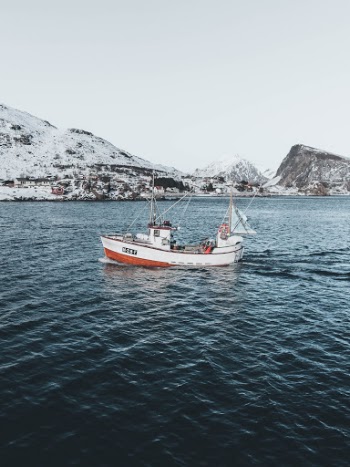 Unsplash ID uGruzi-fga4