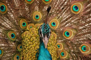 Unsplash ID UGT3Tv1prvU