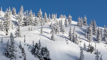 Unsplash ID ugVFG7A8Ddg
