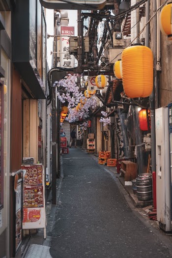 Unsplash ID uhxF0cDcWU4