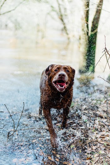 Unsplash ID uHXvkxCft7Y
