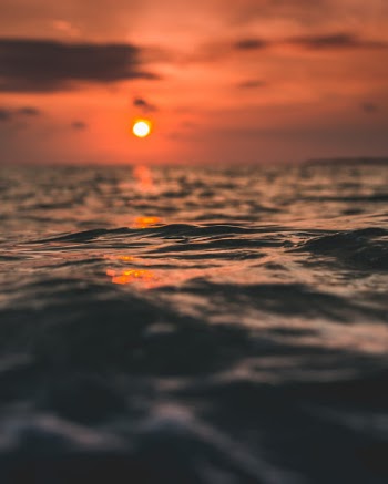 Unsplash ID UMKUEAGUF3g