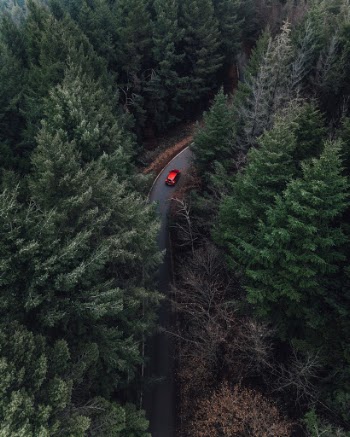 Unsplash ID Unr6SRIdtD8