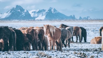 Unsplash ID UOs8DetSXas