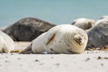 Unsplash ID uRQlCmfOCRg