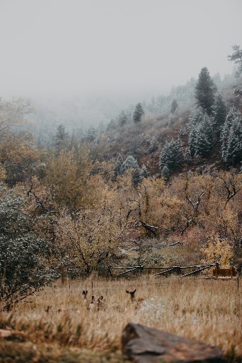 Unsplash ID -URv6tpD77E