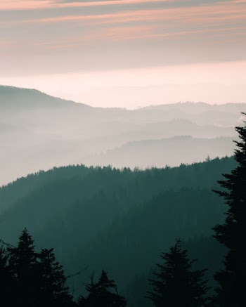 Unsplash ID utBjiT8TOhA