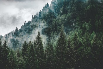 Unsplash ID uWJo5rEhvo4