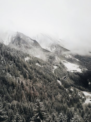 Unsplash ID ux6cQ8aEa8A