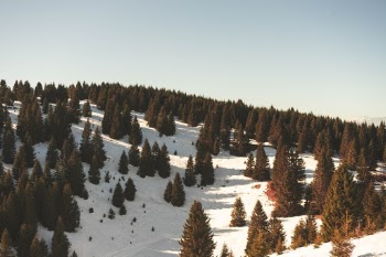 Unsplash ID UXN3vPt8Wbk