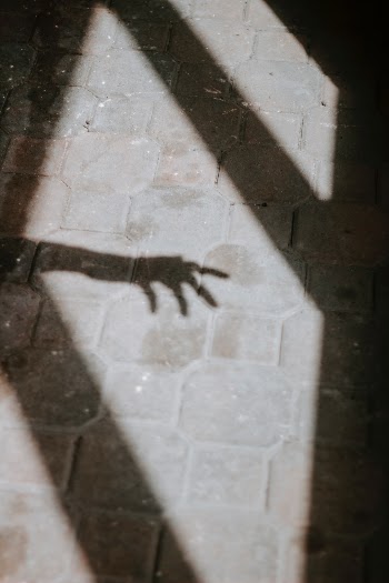 Unsplash ID uxZtYwHxLpQ