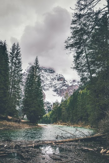 Unsplash ID uYf4wynxvLQ