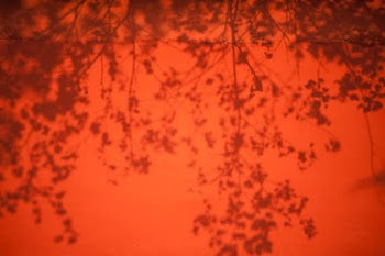 Unsplash ID UyS8syMflC4